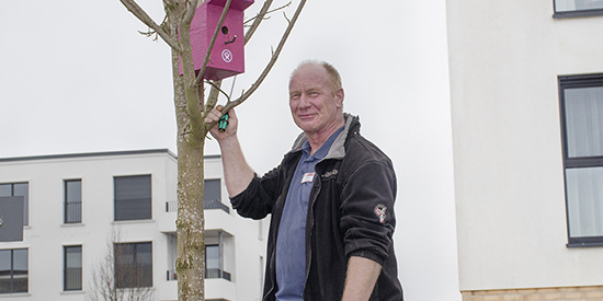 Vielseitiger Haustechniker