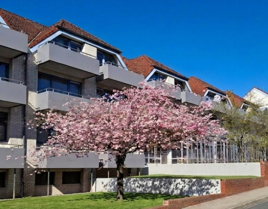 Gebäude DOREAFAMILIE Seesen